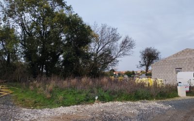 SAINTES