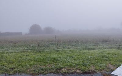 MEURSAC