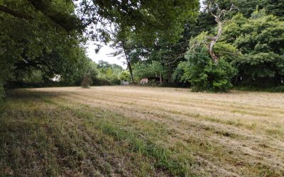 SAINT-GEORGES-DES-COTEAUX
