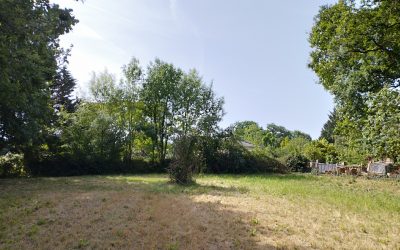 SINT-GEORGES-DES-COTEAUX